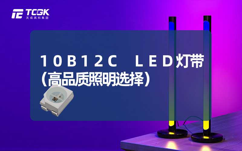 10B12C LED灯带（高品质照明选择）